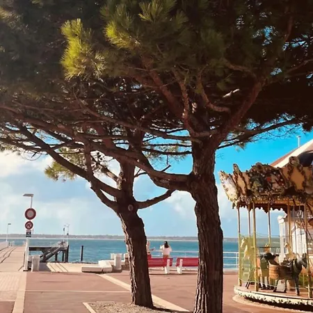 Chalet 5 Persons - Bassin D'arcachon * La Teste-de-Buch