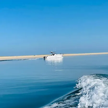 Chalet Chalet 5 Persons - Bassin D'arcachon *